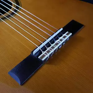 ویژگی گیتار آدمیرا مالاگا efc